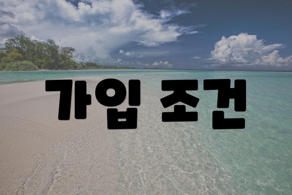 가입 조건