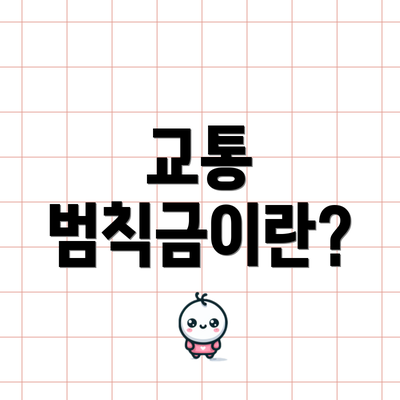 교통 범칙금이란?
