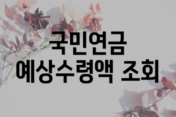 국민연금 예상수령액 조회
