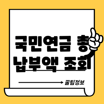 국민연금 총 납부액 조회