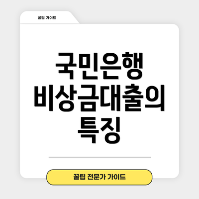 국민은행 비상금대출의 특징