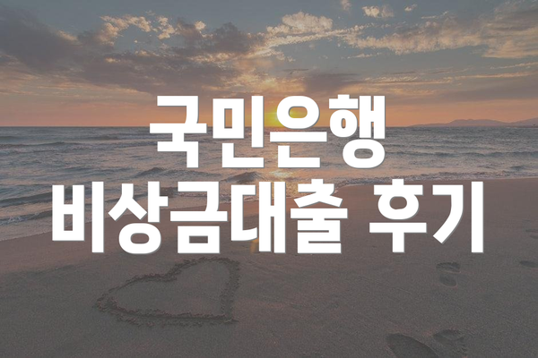 국민은행 비상금대출 후기