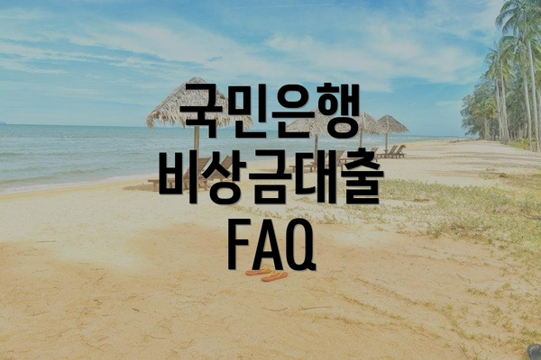 국민은행 비상금대출 FAQ