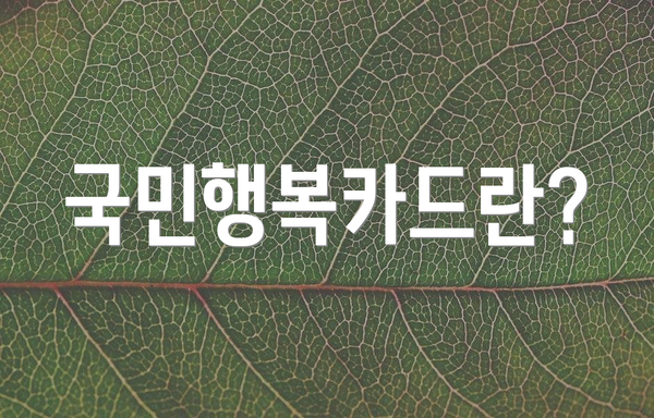 국민행복카드란?