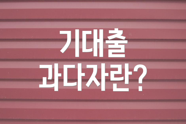 기대출 과다자란?