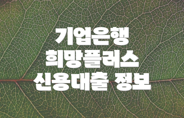 기업은행 희망플러스 신용대출 정보