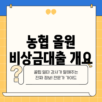 농협 올원 비상금대출 개요