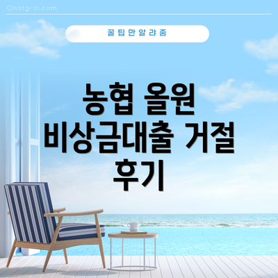 농협 올원 비상금대출 거절 후기