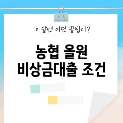 농협 올원 비상금대출 조건