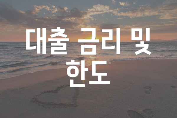 대출 금리 및 한도