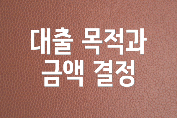 대출 목적과 금액 결정