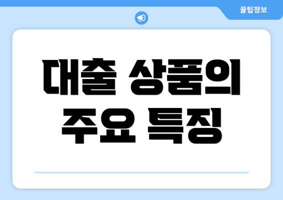 대출 상품의 주요 특징