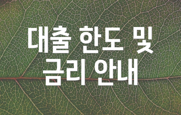 대출 한도 및 금리 안내