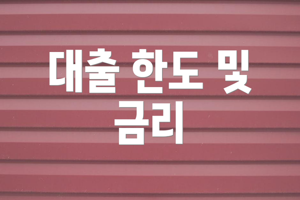 대출 한도 및 금리