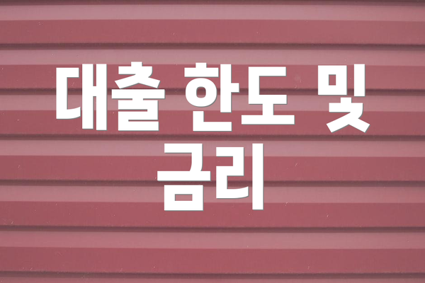 대출 한도 및 금리