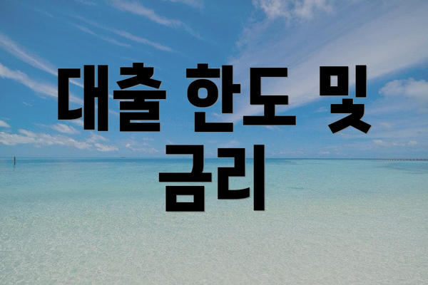대출 한도 및 금리