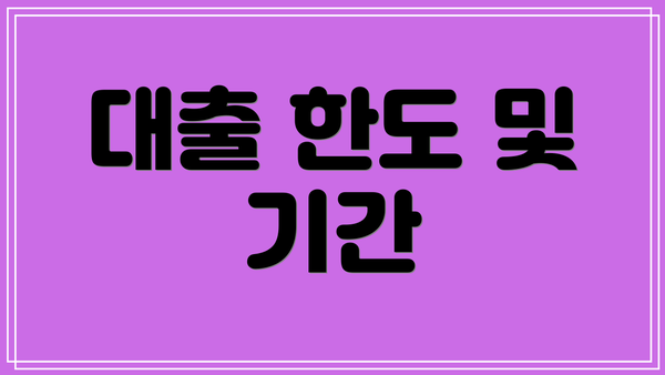 대출 한도 및 기간
