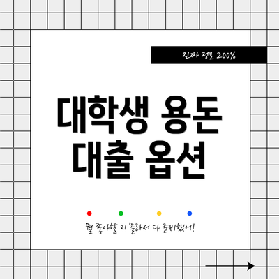 대학생 용돈 대출 옵션