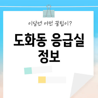 도화동 응급실 정보