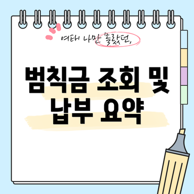 범칙금 조회 및 납부 요약