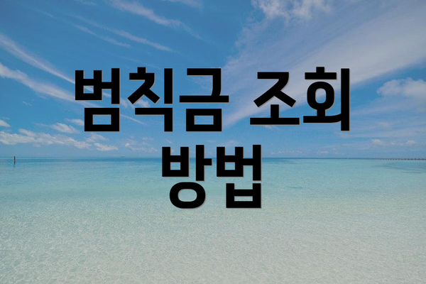 범칙금 조회 방법