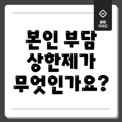 본인 부담 상한제가 무엇인가요?