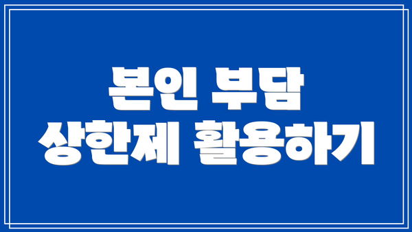 본인 부담 상한제 활용하기