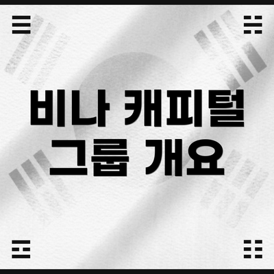 비나 캐피털 그룹 개요
