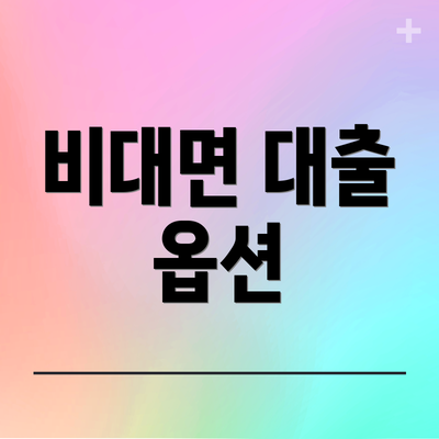 비대면 대출 옵션