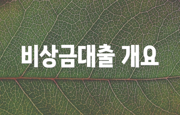 비상금대출 개요