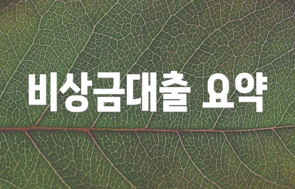 비상금대출 요약