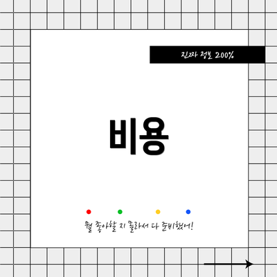 비용