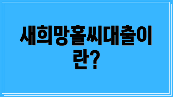 새희망홀씨대출이란?