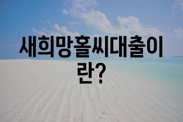 새희망홀씨대출이란?