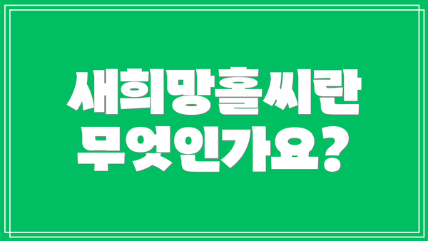 새희망홀씨란 무엇인가요?