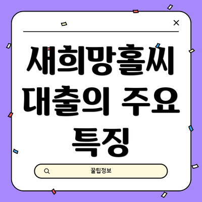 새희망홀씨 대출의 주요 특징