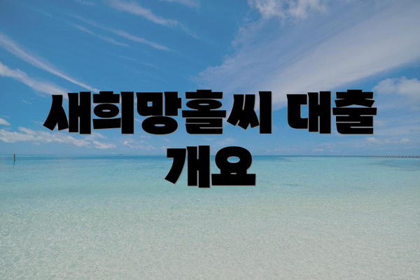 새희망홀씨 대출 개요