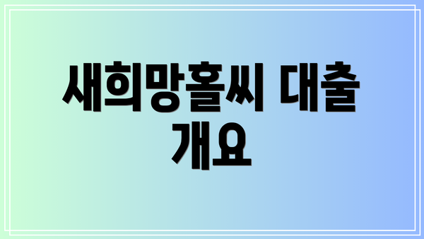 새희망홀씨 대출 개요