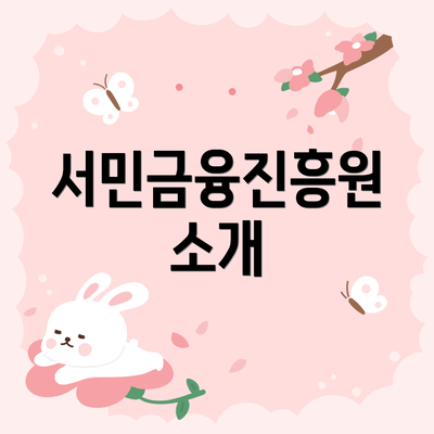 서민금융진흥원 소개