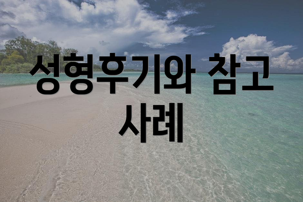 성형후기와 참고 사례