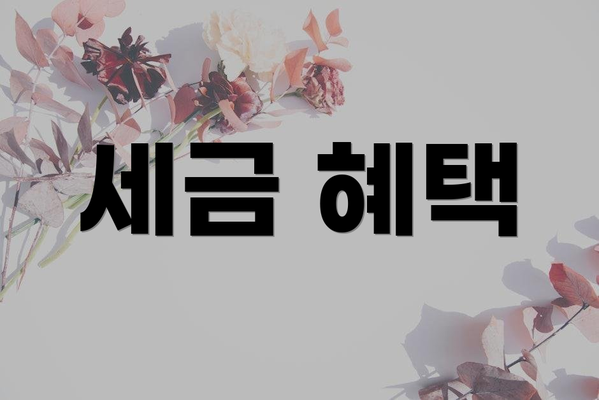세금 혜택