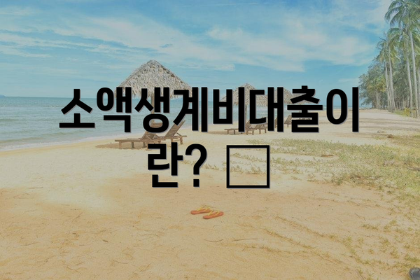 소액생계비대출이란? 🤔