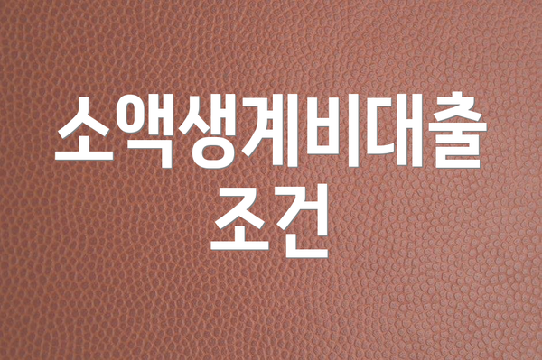 소액생계비대출 조건