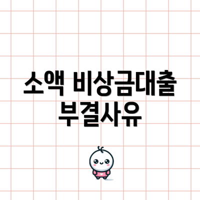 소액 비상금대출 부결사유