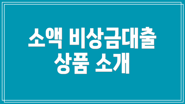 소액 비상금대출 상품 소개