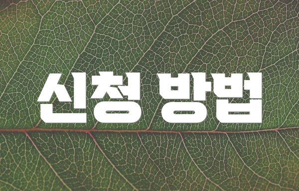 신청 방법
