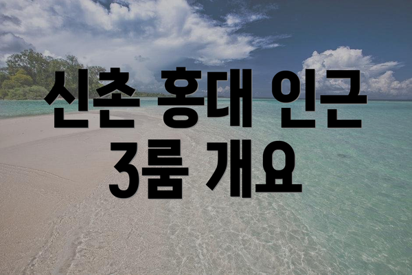 신촌 홍대 인근 3룸 개요