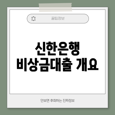 신한은행 비상금대출 개요