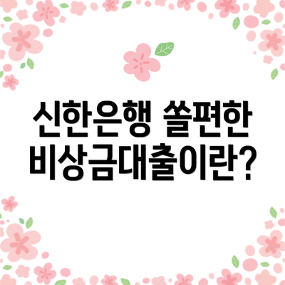 신한은행 쏠편한 비상금대출이란?