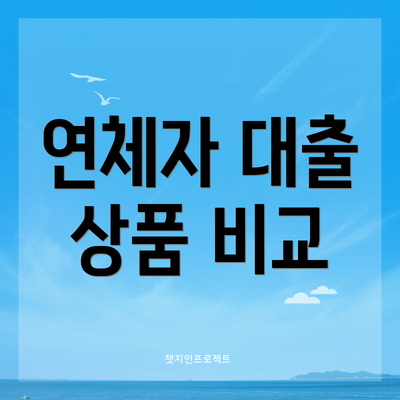 연체자 대출 상품 비교